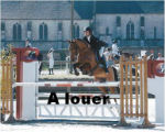 Elevage de Taille Poneys à louer Aventure de Taille 