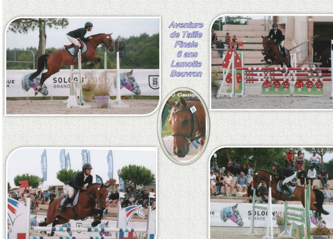 Aventure de Taille Finale Lamotte Beuvron 6 ans 2016