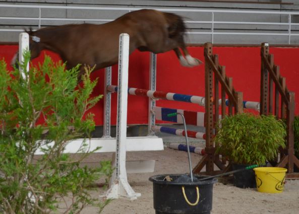 Devinette de Béchevel d`Iseult de la Butte et d` ARON`N à vendre