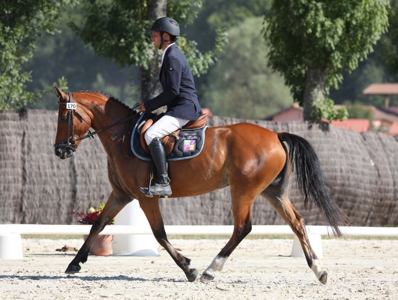 Eveil de Béchevel sacrée élite classique 4 ans D LAMOTTE 2018