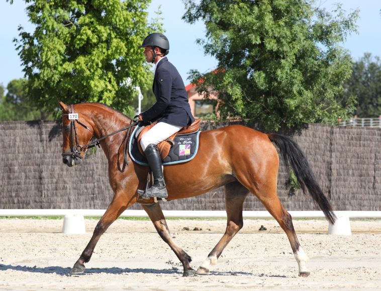 Eveil de Béchevel sacrée élite classique 4 ans D LAMOTTE 2018