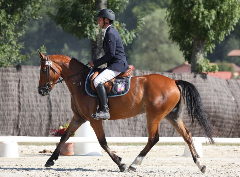 Eveil de Béchevel sacrée élite classique 4 ans D LAMOTTE 2018