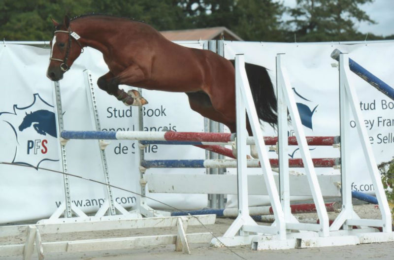 Floki approuvé au National 2017