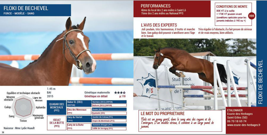 Floki de Béchevel qualifié au National 2017 et présent au salon des étalons de SAINT LO le 24 et 25 février 2018 ANPFS