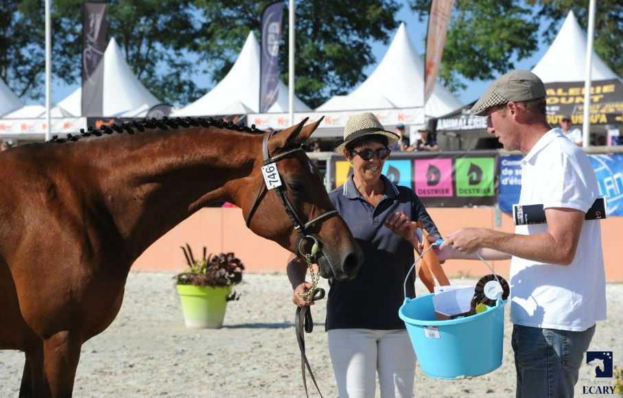 Vagabonde de taille 3ème Médaille au National 2018 