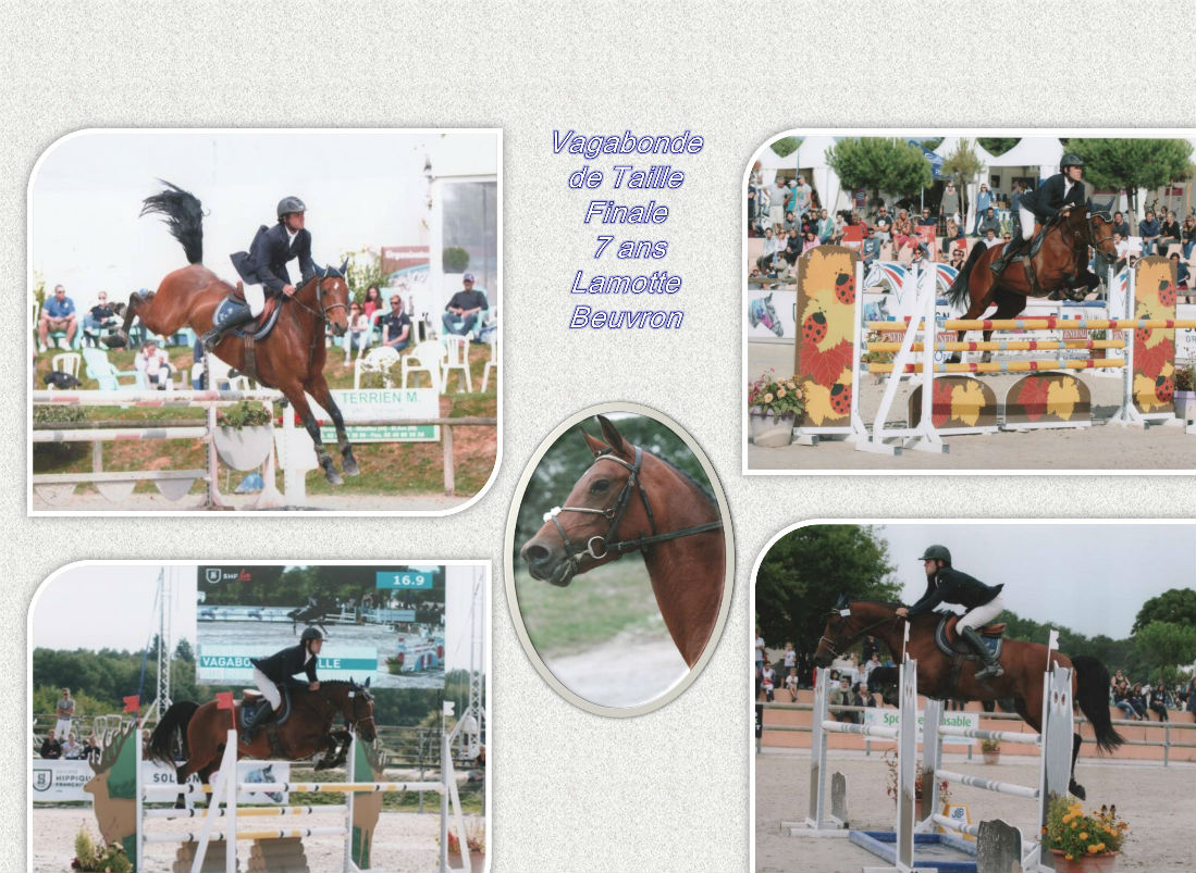 Vagabonde de Taille finale 7 ans Lamotte Beuvron