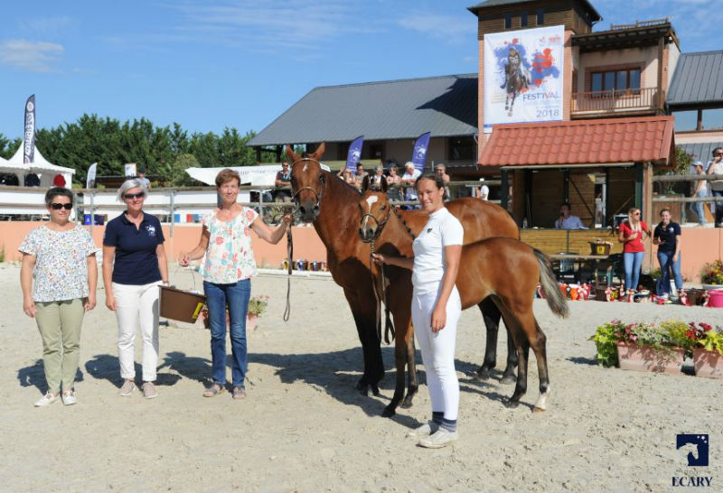 Vagabonde de taille 3ème Médaille au National 2018 et Impériale médaille de bronze avec QUABAR DES MONCEAUX